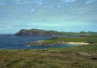 On the Dingle Peninsula